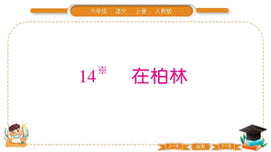 部編版六年級上冊語文14在柏林習題課件.pptx