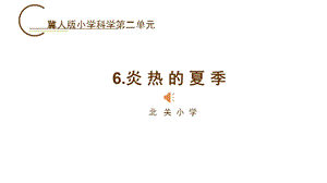 冀人版二年級下冊科學課件-6.炎熱的夏季.pptx
