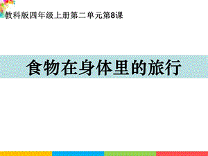 新教科版四年級上冊科學(xué)2.8食物在身體里的旅行 課件.ppt