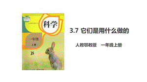 人教鄂教版一年級上冊科學3.7《它們是用什么做的》課件.pptx