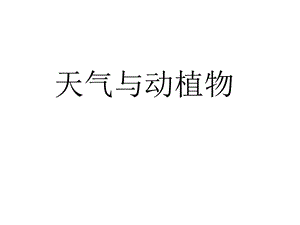 冀教版一年級下冊科學(xué)10《天氣與動植物》公開課課件（河北劉老師）.ppt