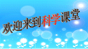 冀教版一年級上冊科學(xué)9《觀察金魚》公開課課件（寧夏馬老師部級優(yōu)課）.pptx