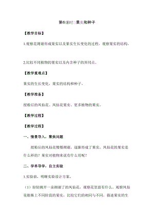 新版教科版四年級下冊科學1.6 果實和種子教案（含教學反思）.docx