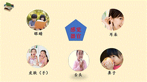 教科版二年級下冊科學2.4《測試反應快慢》公開課課件（寧夏劉老師部級優課）.pptx