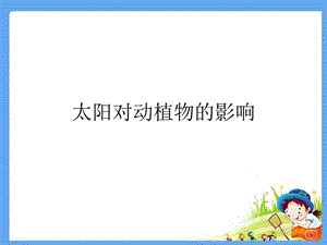 大象版一年級下冊科學3.2《太陽對動植物的影響》公開課課件（河南張老師）.ppt