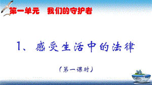 部編版六年級上冊道德與法制第1課 感受生活中的法律 課件.ppt