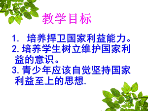 部編版八年級上冊道德與法制8.2堅持國家利益至上教學課件.ppt