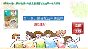 部編版六年級上冊道德與法制1.感受生活中的法律ppt課件(第2課時).pptx
