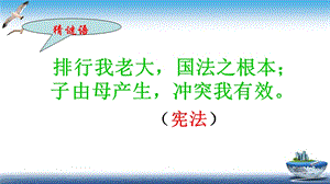 部編版六年級上冊道德與法制第2課憲法是根本法課件.ppt