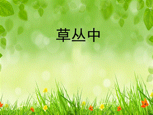 湘美版四年級上冊美術5草叢中課件（山東市級優課）.ppt