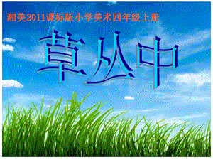 湘美版四年級上冊美術5《草叢中》課件（福建市級優課）.ppt