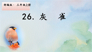 部編版三年級上冊語文26灰雀課件-山東省公開課.pptx