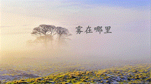 部編版二年級上冊語文19霧在哪里課件-江蘇部級優課.pptx