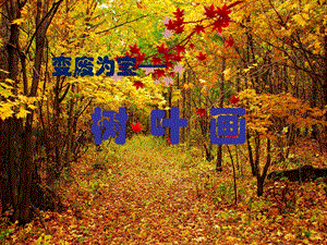 湘美版八年級下冊美術第6課《變廢為寶》課件（沈老師公開課）.pptx