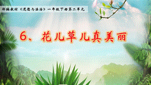 部編版一年級下冊道德與法制6《花兒草兒真美麗》課件（吳老師公開課）.pptx