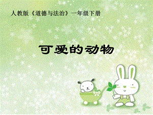 部編版一年級下冊道德與法制7可愛的動物課件（褚老師公開課）.pptx