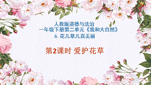 部編版一年級下冊道德與法制6花兒草兒真美麗課件（陳老師公開課）.pptx