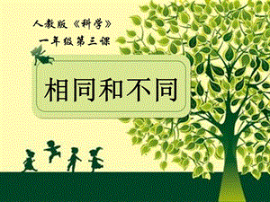 人教鄂教版一年級上冊科學3. 相同和不同-課件.pptx