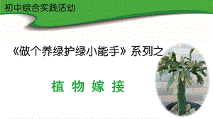 初中綜合實踐活動《做個養(yǎng)綠護(hù)綠小能手》課件-江西部級優(yōu)課.ppt