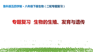 魯科版八年級下冊生物專題復習《生物的生殖、發育和遺傳》課件-山東省公開課.pptx
