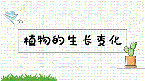 教科版四年級下冊科學課件1.1種子里孕育著新生命(共13張PPT).pptx