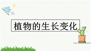 教科版四年級下冊科學課件1.2種植鳳仙花(共13張PPT).pptx