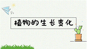 教科版四年級下冊科學課件1.6果實和種子(共12張PPT).pptx