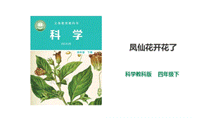 2021新教科版四年級下冊科學(xué)1.5鳳仙花開花了課件（28張PPT）.ppt