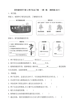 （新）教科版四年級下冊科學3.種子長出了根 課時練習題（含答案）.doc