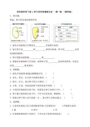 新）教科版四年級下冊科學1.種子里孕育著新生命課時練習題（含答案）.doc