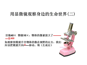 教科版六年級(jí)下冊(cè)科學(xué)課件1-6用顯微鏡觀察身邊的生命世界(二).pptx