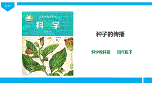 2021新教科版四年級下冊科學1.7《種子的傳播》課件(32張PPT）.ppt