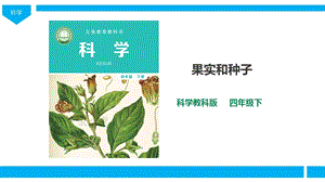 教科版四年級下冊科學(xué)1.6果實和種子課件（27張PPT）.pptx