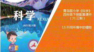 新版青島版（六三制）四年級下冊科學13.《不同環境中的植物》教學課件.ppt