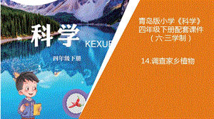 新版青島版（六三制）四年級下冊科學14.《調(diào)查家鄉(xiāng)植物》教學課件.pptx