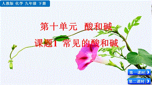 人教版九年級下冊化學課題10.1常見的酸和堿課件.pptx