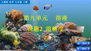 人教版九年級下冊化學課題9.2溶解度課件.pptx