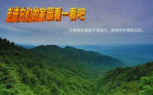 人美版一年級下冊美術(shù)22珍貴的大熊貓公開課課件（陜西部級優(yōu)課）.pptx