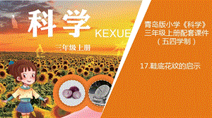青島版三年級(jí)上冊(cè)科學(xué)17.鞋底花紋的啟示教學(xué)課件.ppt