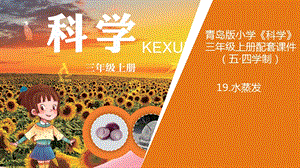 青島版三年級上冊科學19.水蒸發(fā)教學課件.ppt