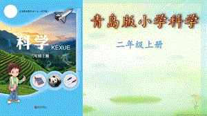 青島版二年級上冊科學7.春夏秋冬上課課件.pptx