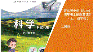 青島版四年級上冊科學1.螞蟻教學課件.pptx