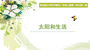青島版二年級(jí)上冊(cè)科學(xué)6.太陽和生活教學(xué)課件.pptx