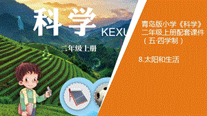 青島版二年級(jí)上冊(cè)科學(xué)6太陽和生活教學(xué)課件.pptx