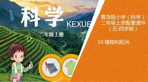 青島版二年級上冊科學10.《植物和陽光》教學課件.ppt