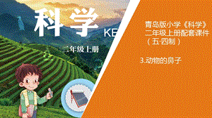 青島版二年級上冊科學3.《動物的鼻子》教學課件.ppt