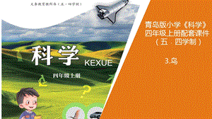 青島版四年級(jí)上冊(cè)科學(xué)3.《鳥》教學(xué)課件.pptx