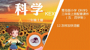 青島版三年級上冊科學12.怎樣加快溶解教學課件.ppt