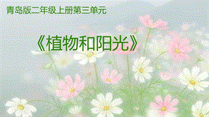 青島版二年級上冊科學10.植物和陽光 說課課件.pptx