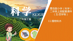青島版二年級上冊科學11.《植物和水》教學課件.ppt
